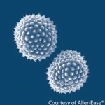 Copy of allergin_1