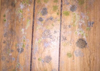 mold on wooden furniture