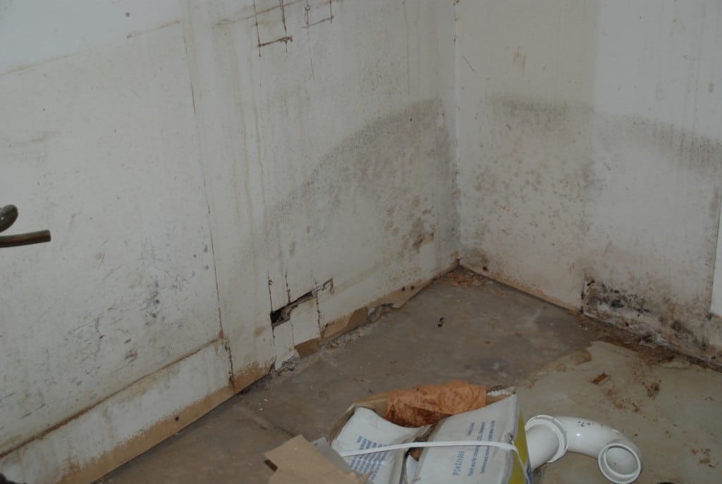 Array of Solutions - Mold removal