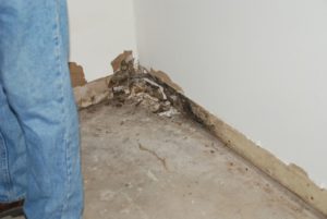 mold removal simpsonville sc