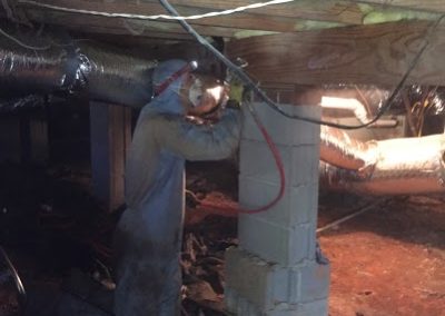 Crawl Space mold Remediation in Greenville, SC