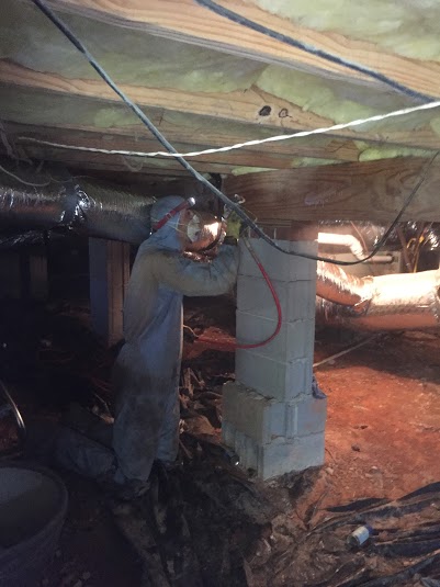 Crawl Space mold Remediation in Greenville, SC