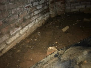 Crawl Space solutions Greenville SC