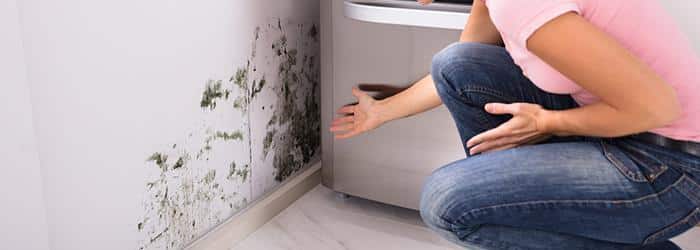 Mold in Your Apartment