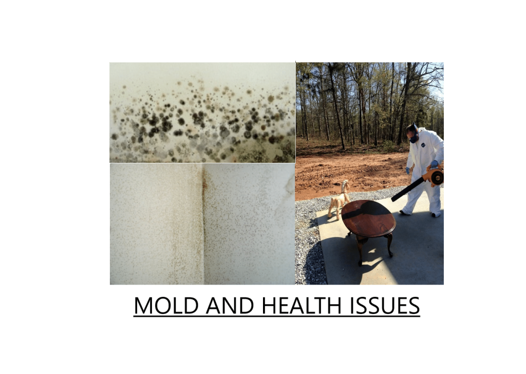 mold and health issues - Can Mold Kill You?