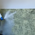 How Much Does Mold Remediation Cost?