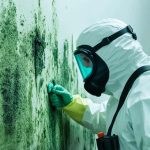 Mold Removal in Upstate Homes and Businesses