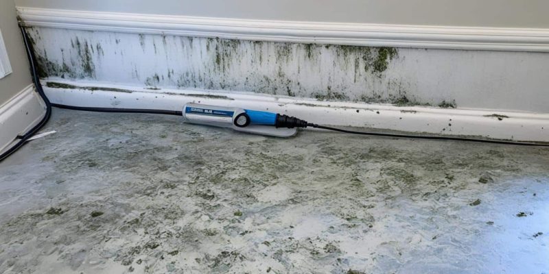 Mold Remediation Simpsonville SC - Mold & Moisture in the Summer Months