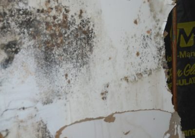 Introduction To Mold Series - Crawlspace Moisture - Why Prevent Mold from Growing in your Home