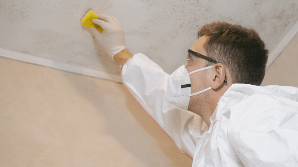 Mold Testing Featured Image1