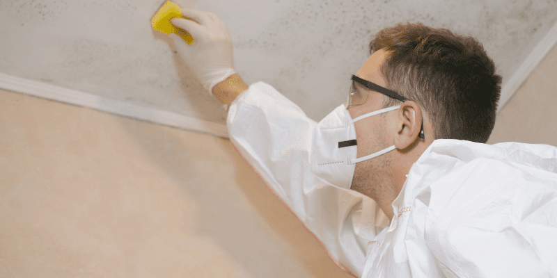 Mold Testing Wedgefield SC