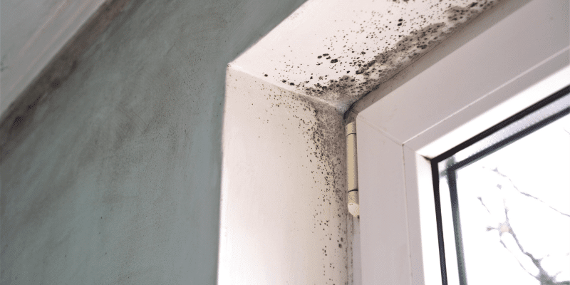 Mold Testing Woodruff SC